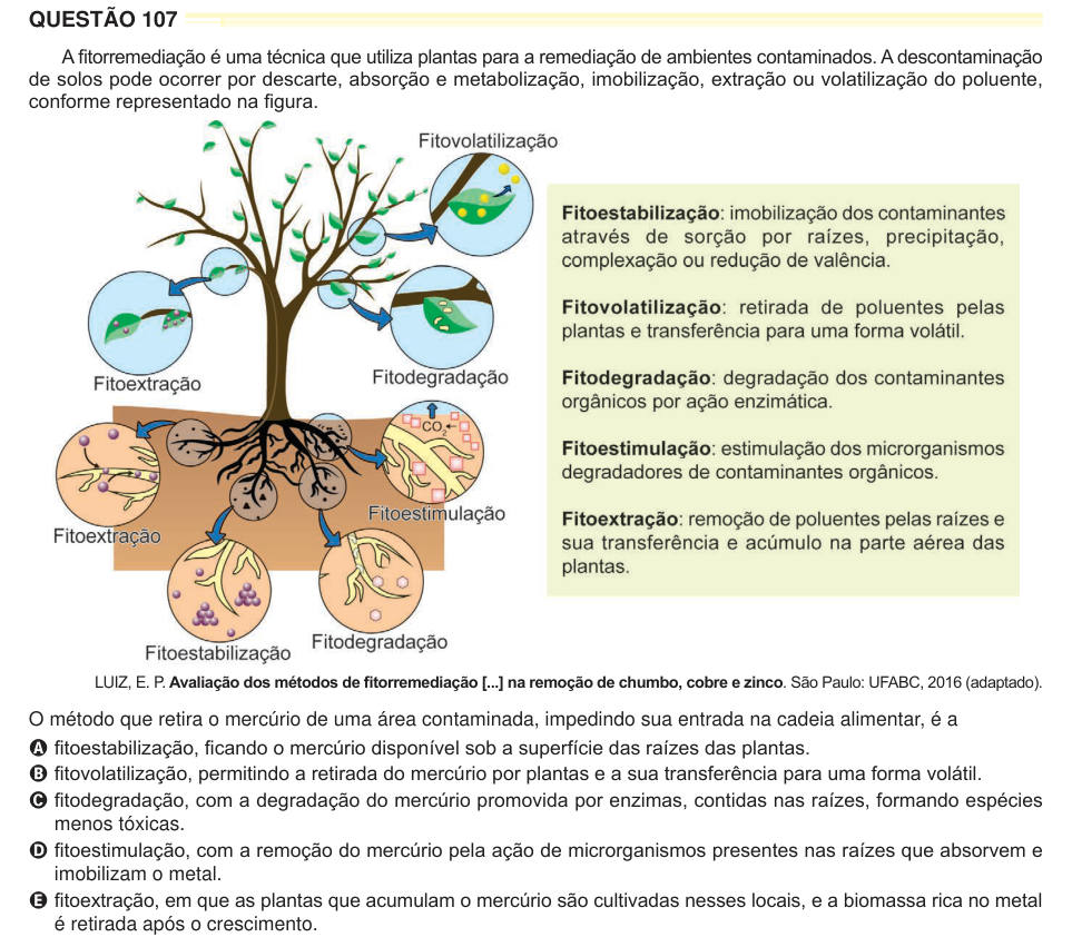 QUESTÃO 107 A fitorremediação é uma técnica que utiliza plantas para a remediação de ambientes contaminados. A descontaminação de solos pode ocorrer por descarte, absorção e metabolização, imobilização, extração ou volatilização do poluente, conforme representado na figura. LUIZ, E. P. Avaliação dos métodos de fitorremediação [...] na remoção de chumbo, cobre e zinco. São Paulo: UFABC, 2016 (adaptado). O método que retira o mercúrio de uma área contaminada, impedindo sua entrada na cadeia alimentar, é a A fitoestabilização, ficando o mercúrio disponível sob a superfície das raízes das plantas.