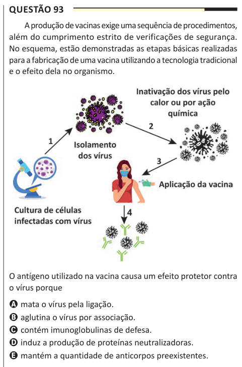 Questão 93 A produção de vacinas exige uma sequência de procedimentos, além do cumprimento estrito de verificações de segurança. No esquema, estão demonstradas as etapas básicas realizadas para a fabricação de uma vacina utilizando a tecnologia tradicional e o efeito dela no organismo. O antígeno utilizado na vacina causa um efeito protetor contra o vírus porque A mata o vírus pela ligação. B aglutina o vírus por associação. C contém imunoglobulinas de defesa. D induz a produção de proteínas neutralizadoras. E mantém a quantidade de anticorpos preexistentes.