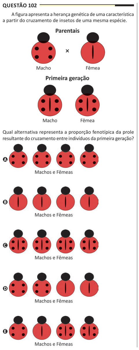 Questão 102 A figura apresenta a herança genética de uma característica a partir do cruzamento de insetos de uma mesma espécie. Qual alternativa representa a proporção fenotípica da prole resultante do cruzamento entre indivíduos da primeira geração? A B C D E